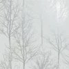 Holden Decor 90760 Rhea Trees Grey Silver Wallpaper, Full Roll