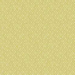 HOLDEN DECOR Holden Wallpaper Rubus Citrus 98503 Full Roll