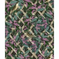 HOLDEN DECOR Holden Brassica Floral Leaves Bird Charcoal Pink Green Paste The Wall Wallpaper -HOLDEN DECOR Shop 68568361 2
