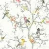 HOLDEN DECOR Holden Décor Ornithology Birds Wallpaper (10m X 52cm) (White)